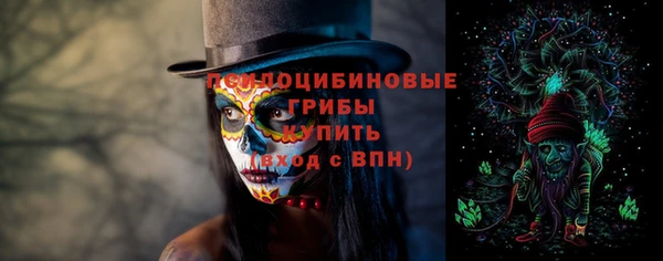 мяу мяу мука Гусиноозёрск