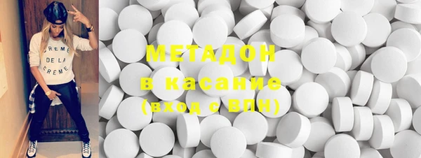 прущие грибы Вязьма