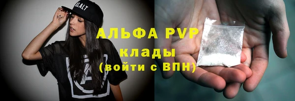 PSILOCYBIN Горняк