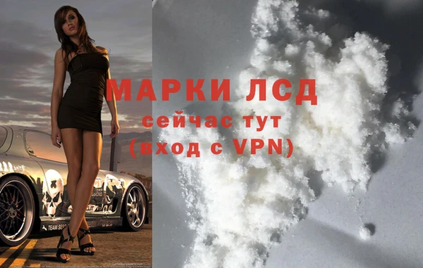 прущие грибы Вязьма