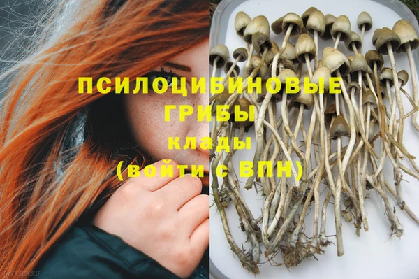 PSILOCYBIN Горняк