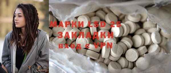 прущие грибы Вязьма
