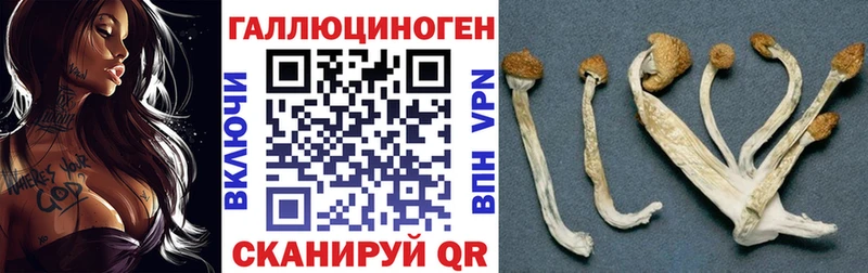 Псилоцибиновые грибы Cubensis  закладка  мега сайт  Демидов 